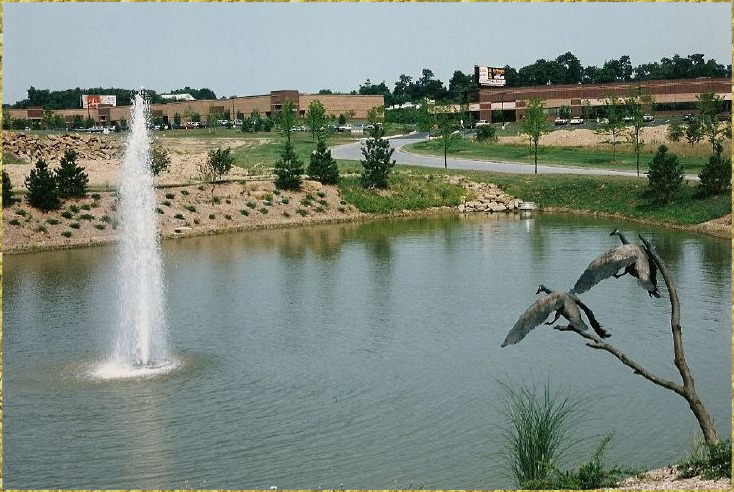 Canadian Geese Pair